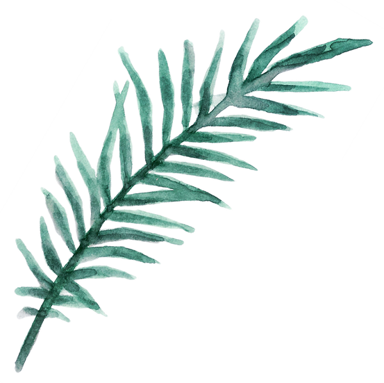 Watercolor Organic Shape