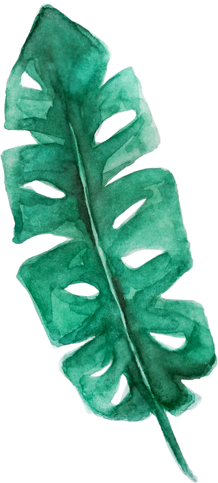 Watercolor Organic Leaf Shape