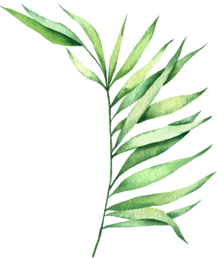 Foliage watercolor, Beautiful leaf watercolor element